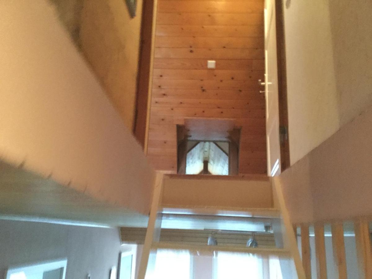 Homestay Luely