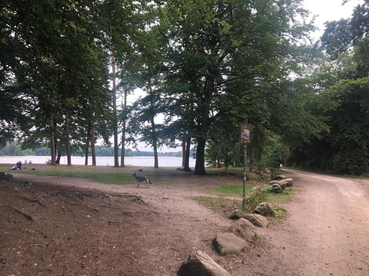 Luely Lutjensee